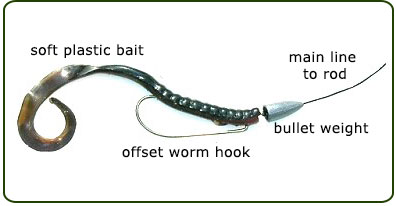 Bottom Lures - Texas Rig | Vermont Fish & Wildlife Department