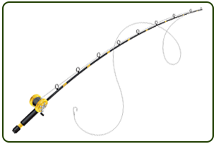 Bait Casting Rod