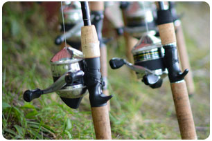 Spincast Reel