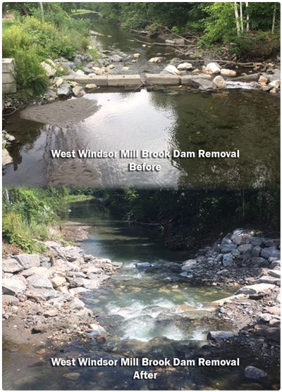 before and after image of stream with dam removed