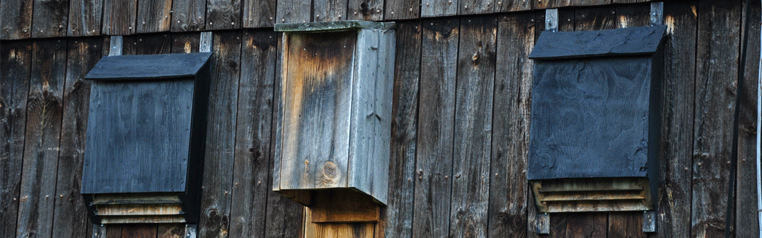 bat houses on a barn