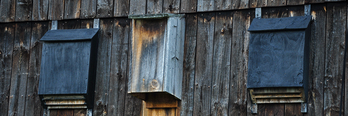 bat houses on a barn