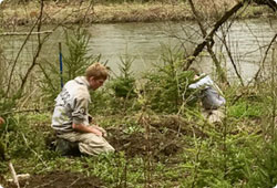 two people planting trees along a stream bank