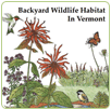 Backyard Wildlife Habitat in VT