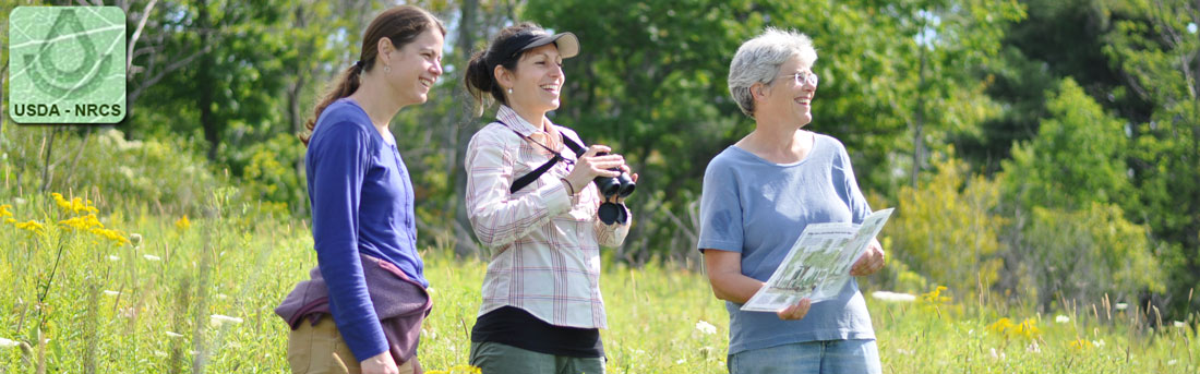  three women standing in a field