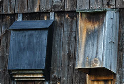 two bat houses on a building wall