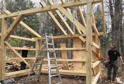 timber frame of a building volunteers are working on