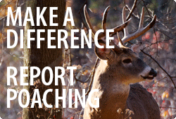 deer buck with text saying make a difference report poaching