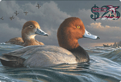 duck stamp