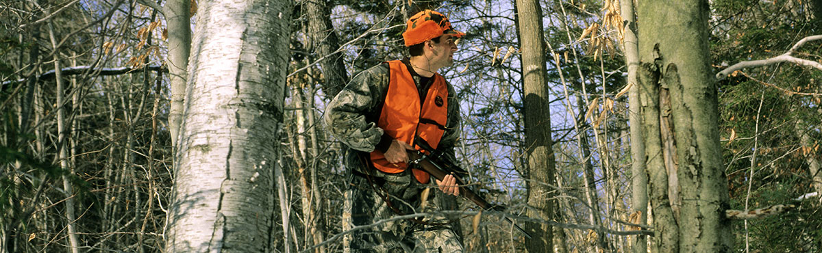 Deer hunter in woods