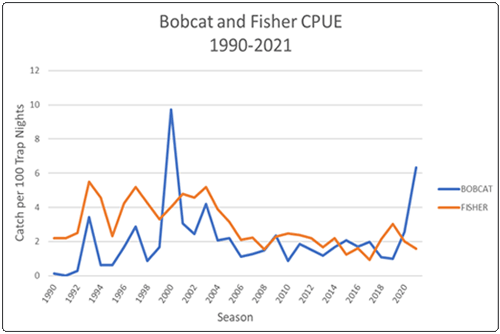 graph of bobcat and fisher catch per unit effort