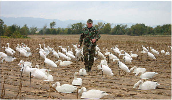hunter with decoys