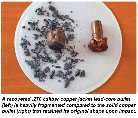 fragmented bullet vs copper bullet
