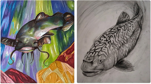 painting of brown bullhead and sketch of brook trout