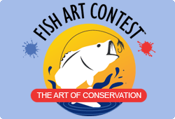 Fish art logo
