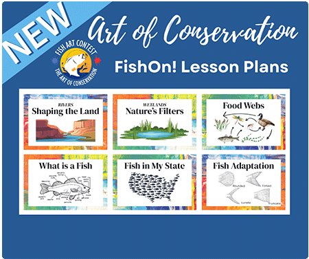 poster of fish art lesson plans