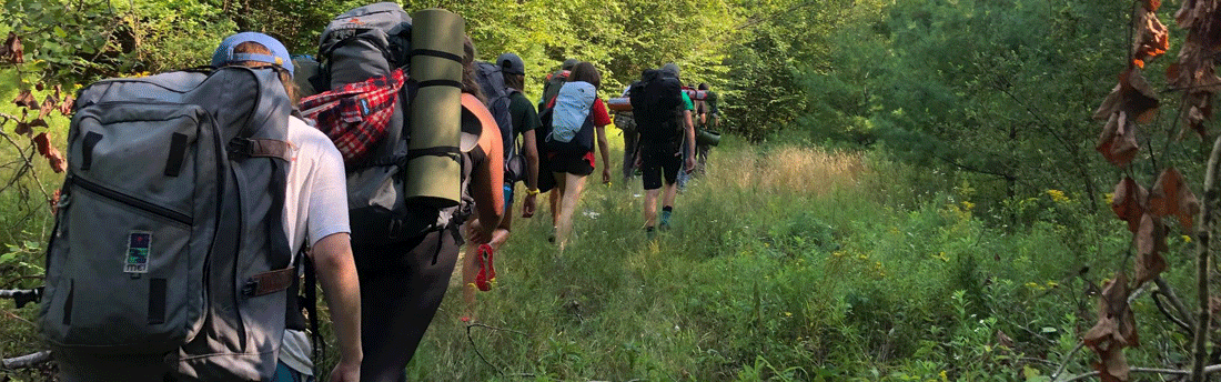 group hiking into the woods