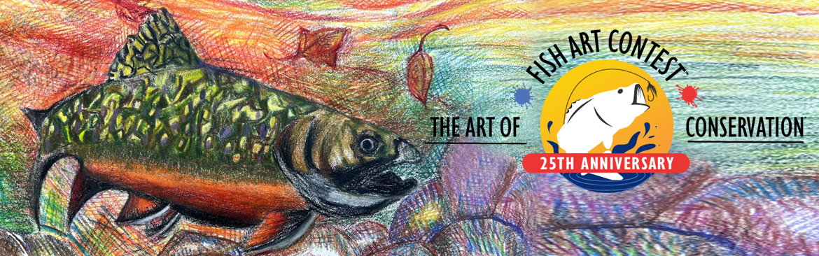 art work of brook trout with logo