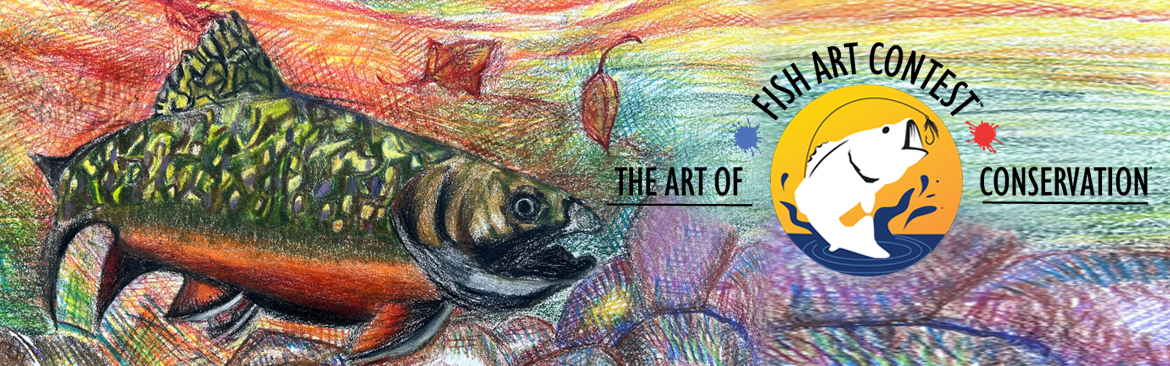 art work of brook trout with logo