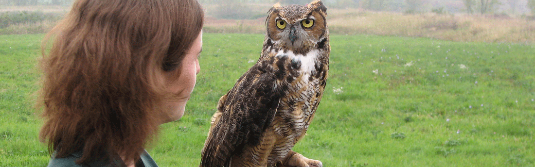 woman holding an owl