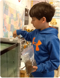 boy feeding trout