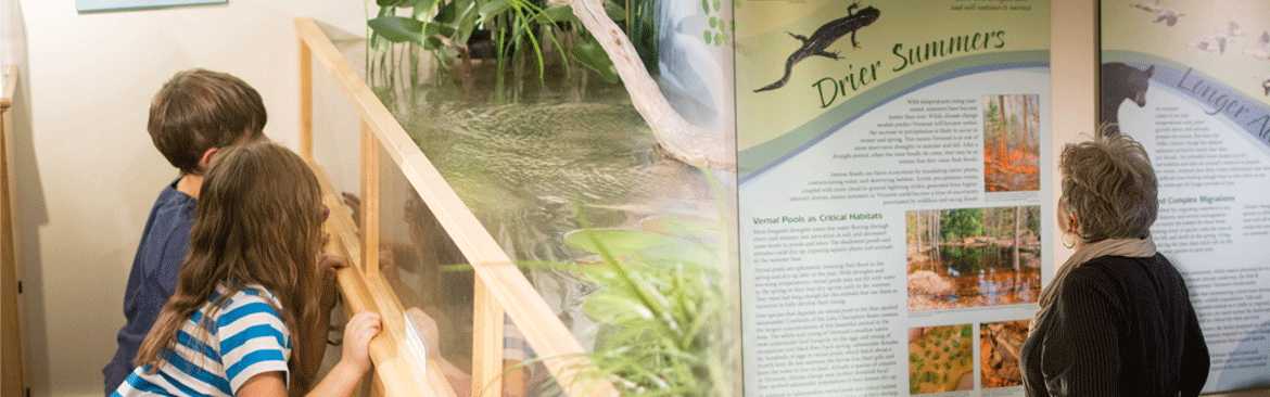 People enjoying exhibits at Dead Creek Visitor Center