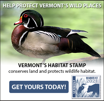 Habitat stamp link