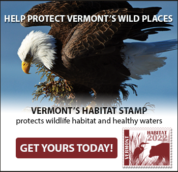 Habitat stamp link