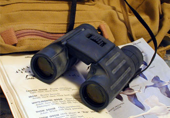 binoculars and birding book