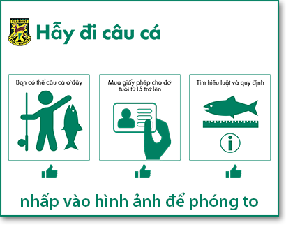 Let's go fishing translation sign