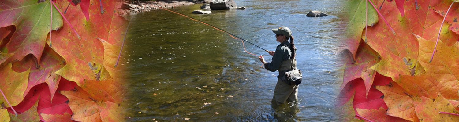 woman fly fishing in a stream framed by fall colored leaves