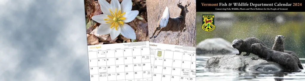 2024 FW calendar and internal pages with image of flower and deer