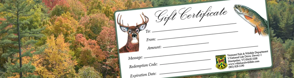 VT Fish and Wildlife gift certificate