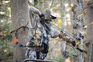 hunter in a tree stand