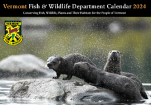FW calendar cover with an otter family