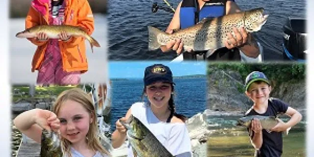 News  Vermont Fish & Wildlife Department